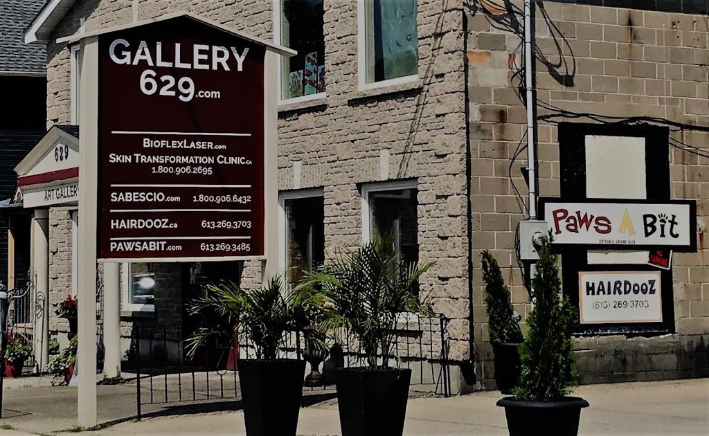 Gallery 629 | 629 St Lawrence St, Merrickville, ON K0G 1N0, Canada