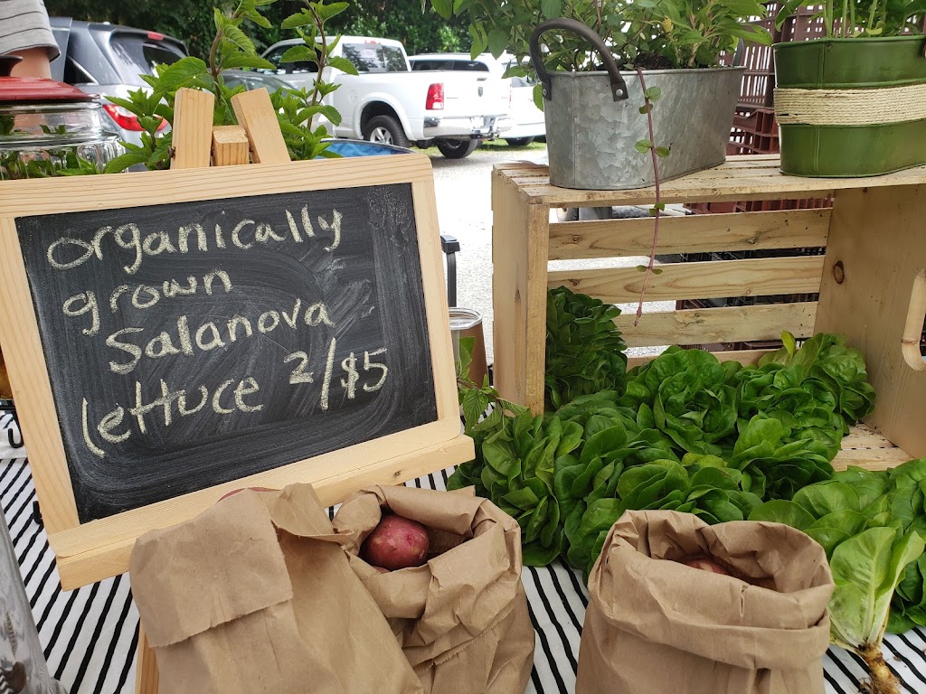 Fort Langley Village Farmers Market | 9025 Glover Rd, Langley, BC V1M 2R7, Canada | Phone: (604) 728-2080