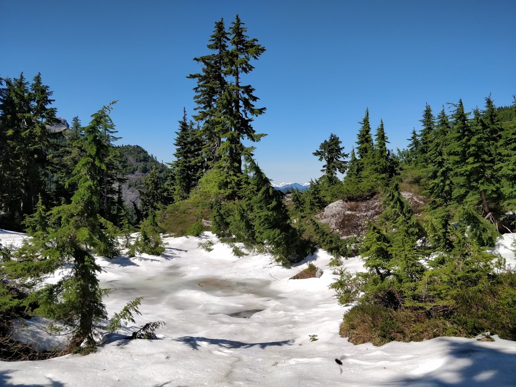 Goat Ridge Route | Goat Ridge Rte, North Vancouver, BC V7K 1X8, Canada