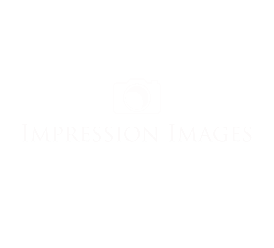 Impression Images | 565 Sherbourne St #1917, Toronto, ON M4X 1W7, Canada | Phone: (416) 928-0355