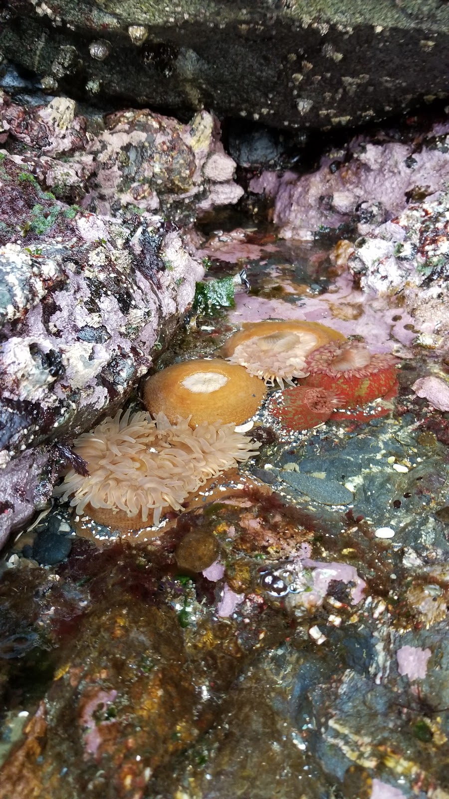 Deception Island State Park | Oak Harbor, WA 98277, USA