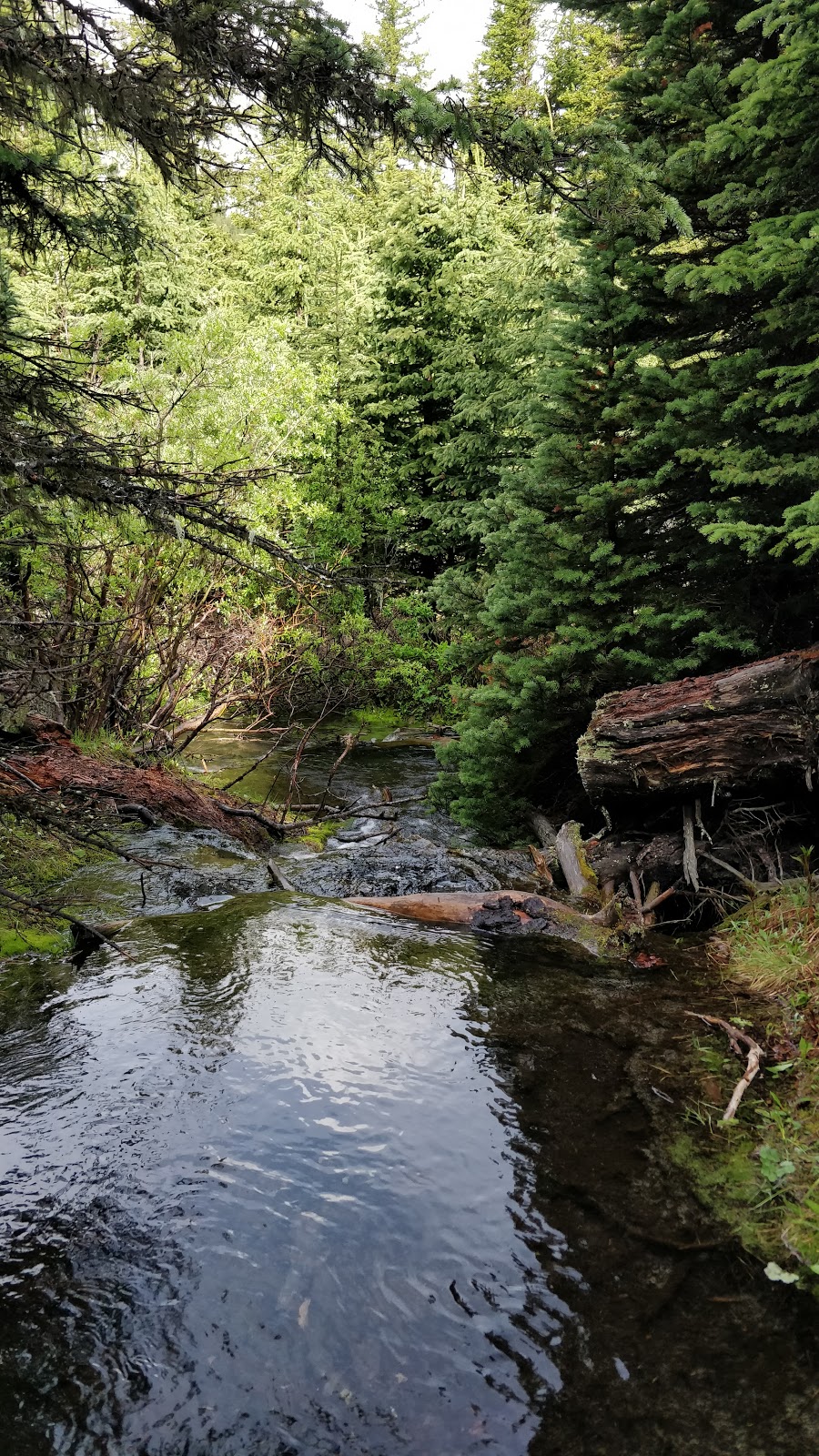 Elbow Lake Backcountry Campground | Kananaskis, AB T0L 2A0, Canada | Phone: (403) 678-0760