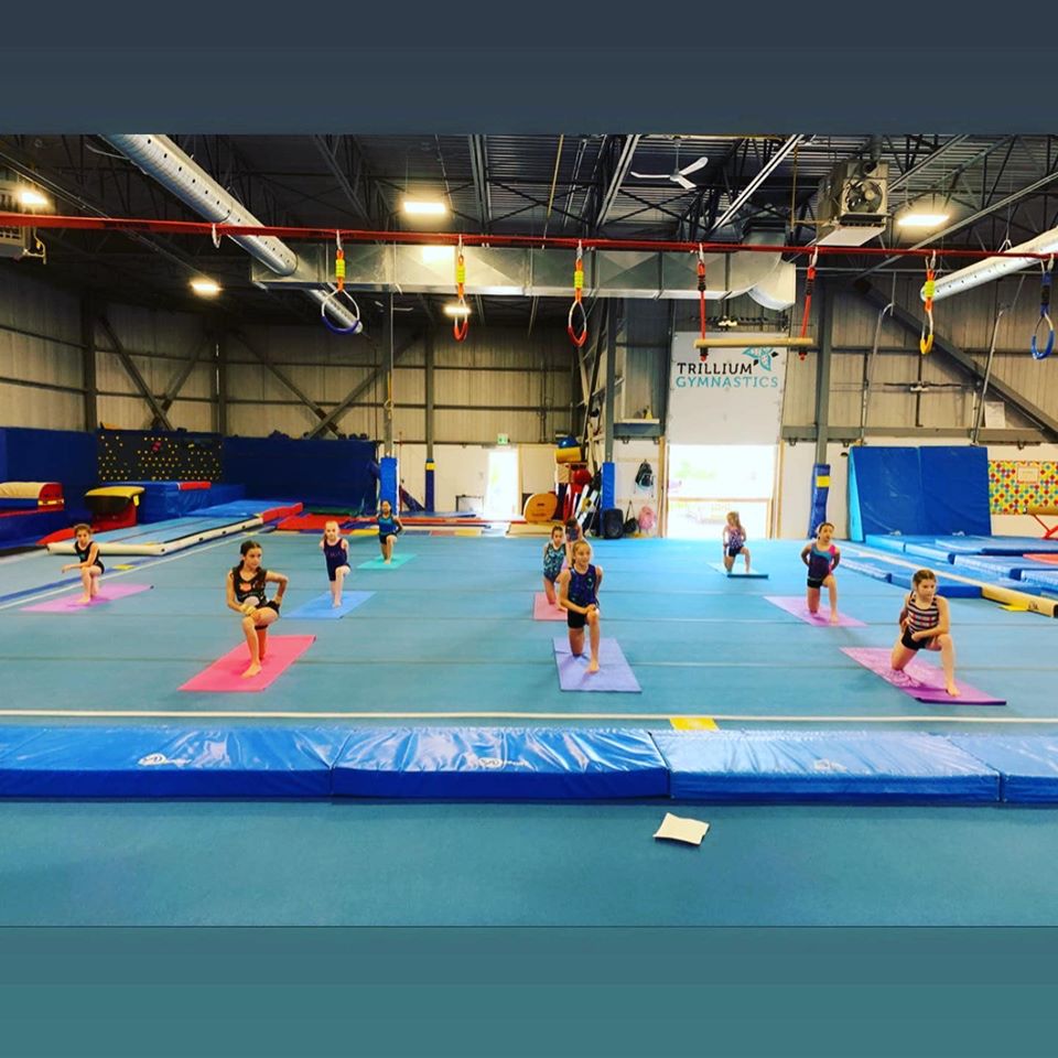 Trillium Gymnastics | 631 Fortune Crescent, Kingston, ON K7P 0L5, Canada | Phone: (613) 542-2041