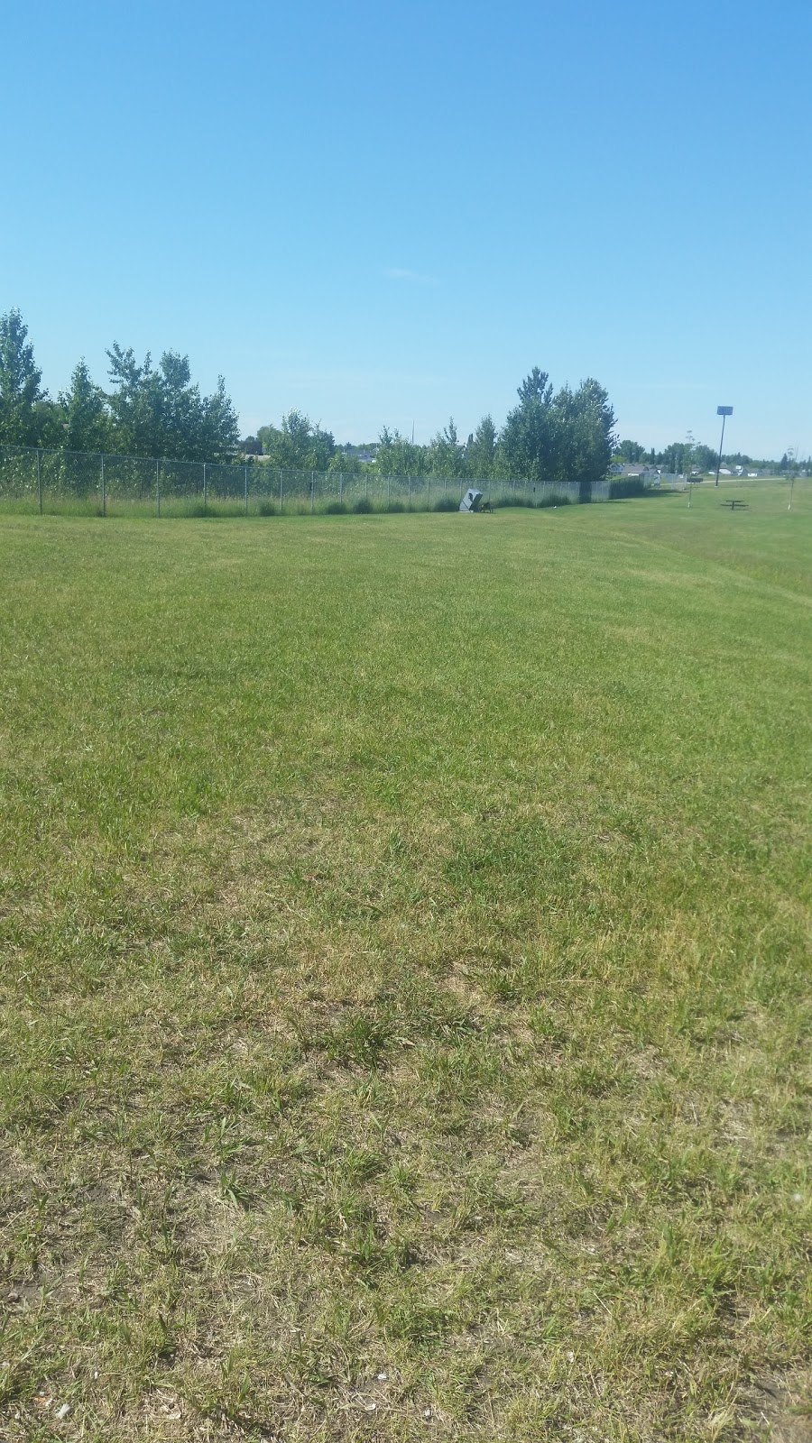 Devon Dog Park | 1000-1002 Gilmour Way, Devon, AB T9G 2A5, Canada