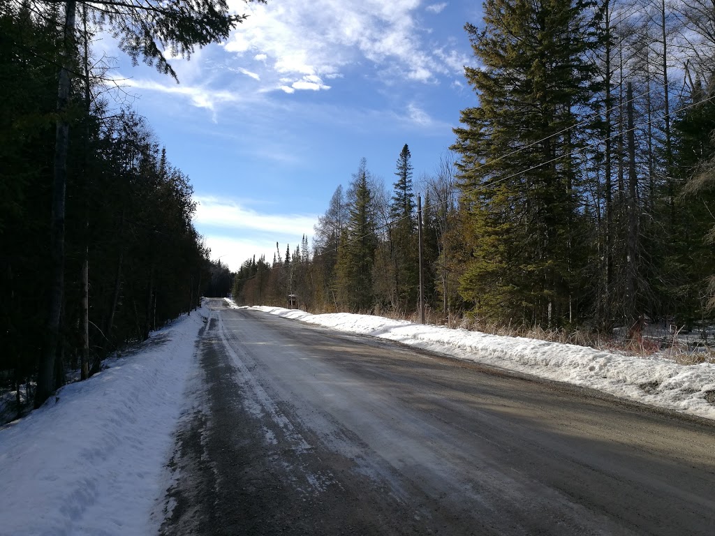 Secord Forest and Wildlife Area | Goodwood, ON L0C 1A0, Canada