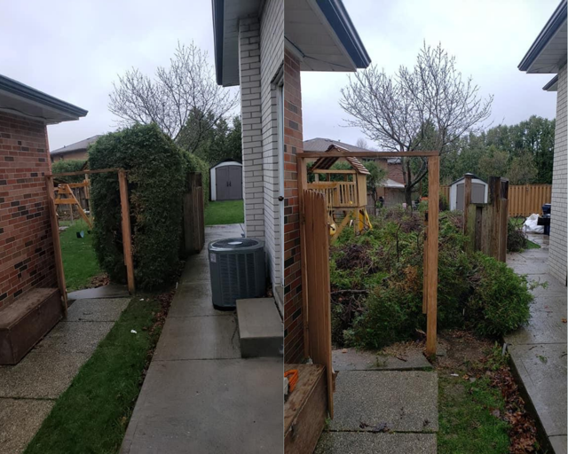 4evergreen landscaping services | 5 Harding Ave, North York, ON M6M 0A3, Canada | Phone: (416) 844-6524