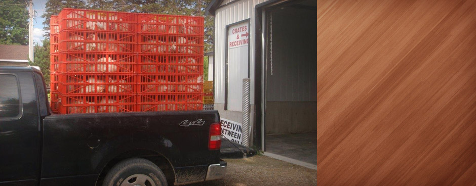 Schefter Poultry Processing | 44783 Harriston Rd, Gorrie, ON N0G 1X0, Canada | Phone: (519) 335-6791