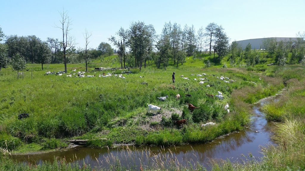 Piper Creek Community Gardens | Red Deer, AB T4R 2T3, Canada | Phone: (403) 342-8111