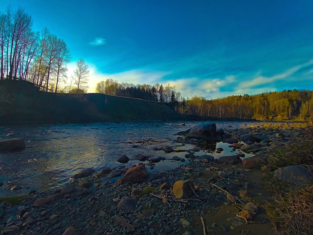 Moulin du Portage | 1080 Rang St François, Lotbinière, QC G0S 1S0, Canada | Phone: (418) 796-3134