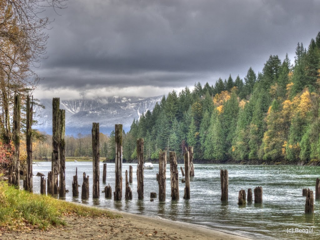 Fraser River Safari Eagle Tours November & December launch area | Kilby Rd, Kent, BC V0M 1L0, Canada | Phone: (866) 348-6877