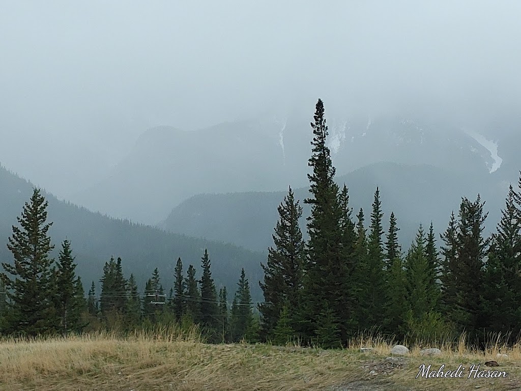 Jura Creek Trailhead | Bighorn No. 8, AB T0L, Canada | Phone: (780) 427-8636