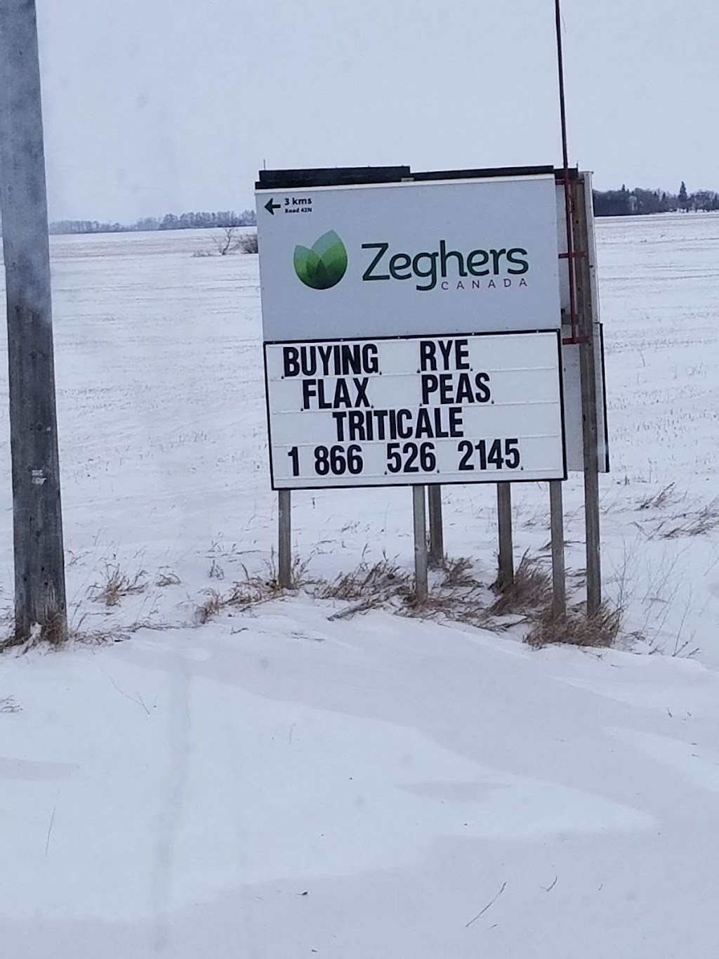 Zeghers Seed Inc. | River Rd, Holland, MB R0G 0X0, Canada | Phone: (866) 526-2145