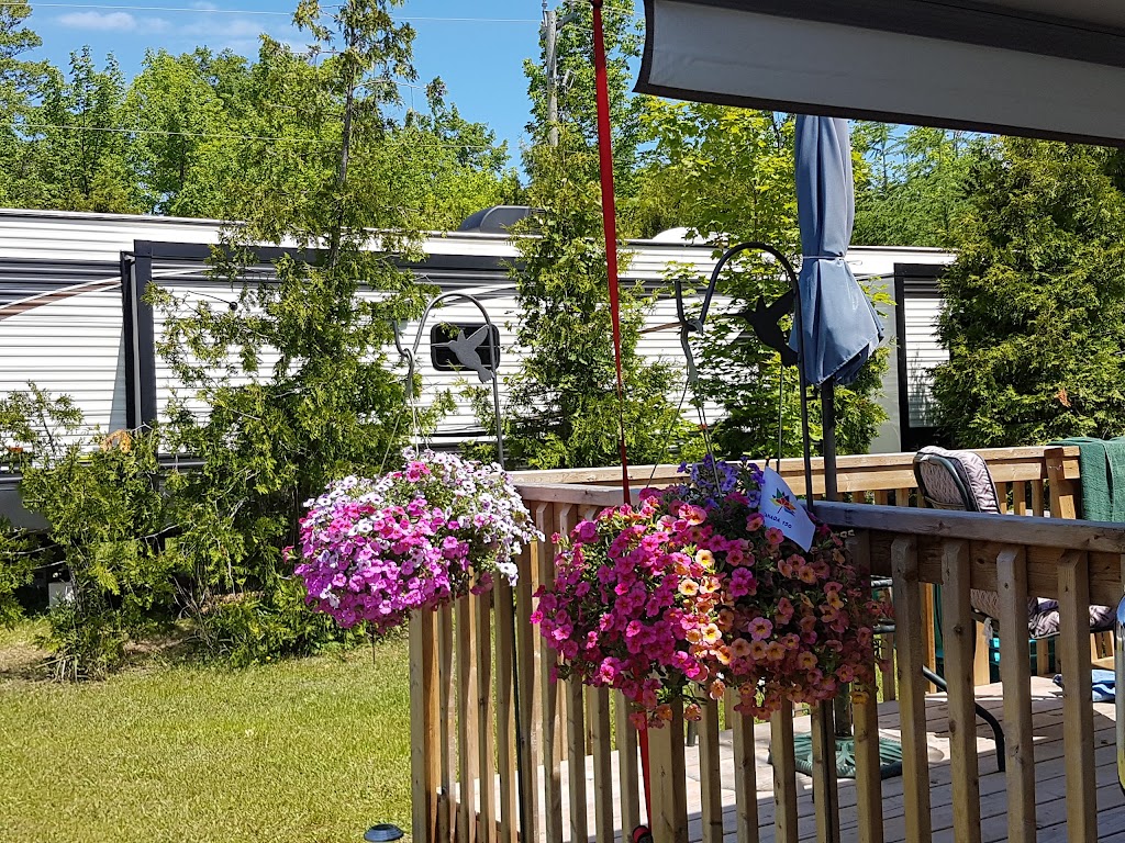 Fiddlehead Resort | 50 Oliphant Way, Wiarton, ON N0H 2T0, Canada | Phone: (519) 534-0405