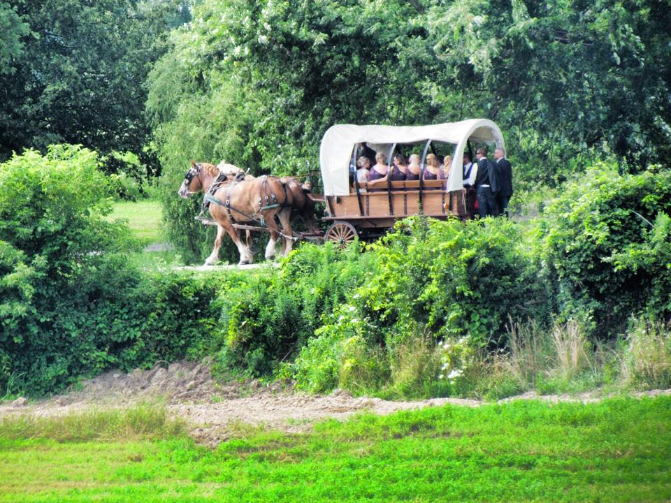 Evergreen Hill Farm- Horse Drawn Services | 687 St Johns Rd E, Port Dover, ON N0A 1N2, Canada | Phone: (519) 426-2155