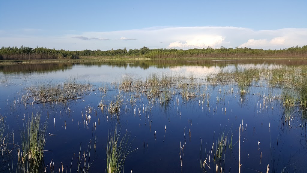 Clifford E. Lee Nature Sanctuary | Spruce Grove, AB T7Y, Canada