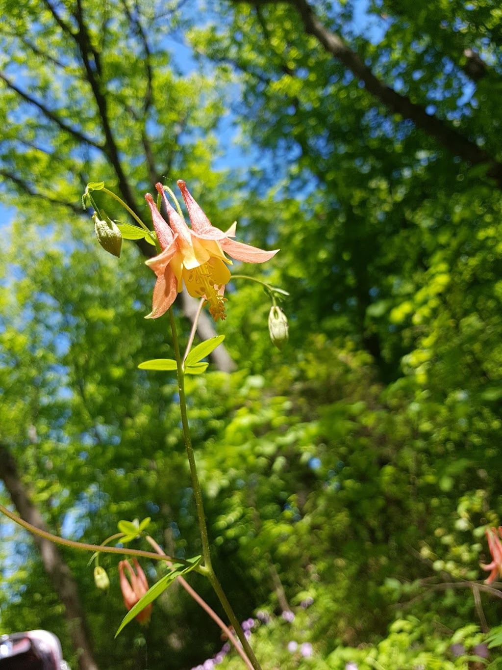 Riverside Trail | 1T0, 26 Sideroad, Grand Bend, ON N0M 1T0, Canada