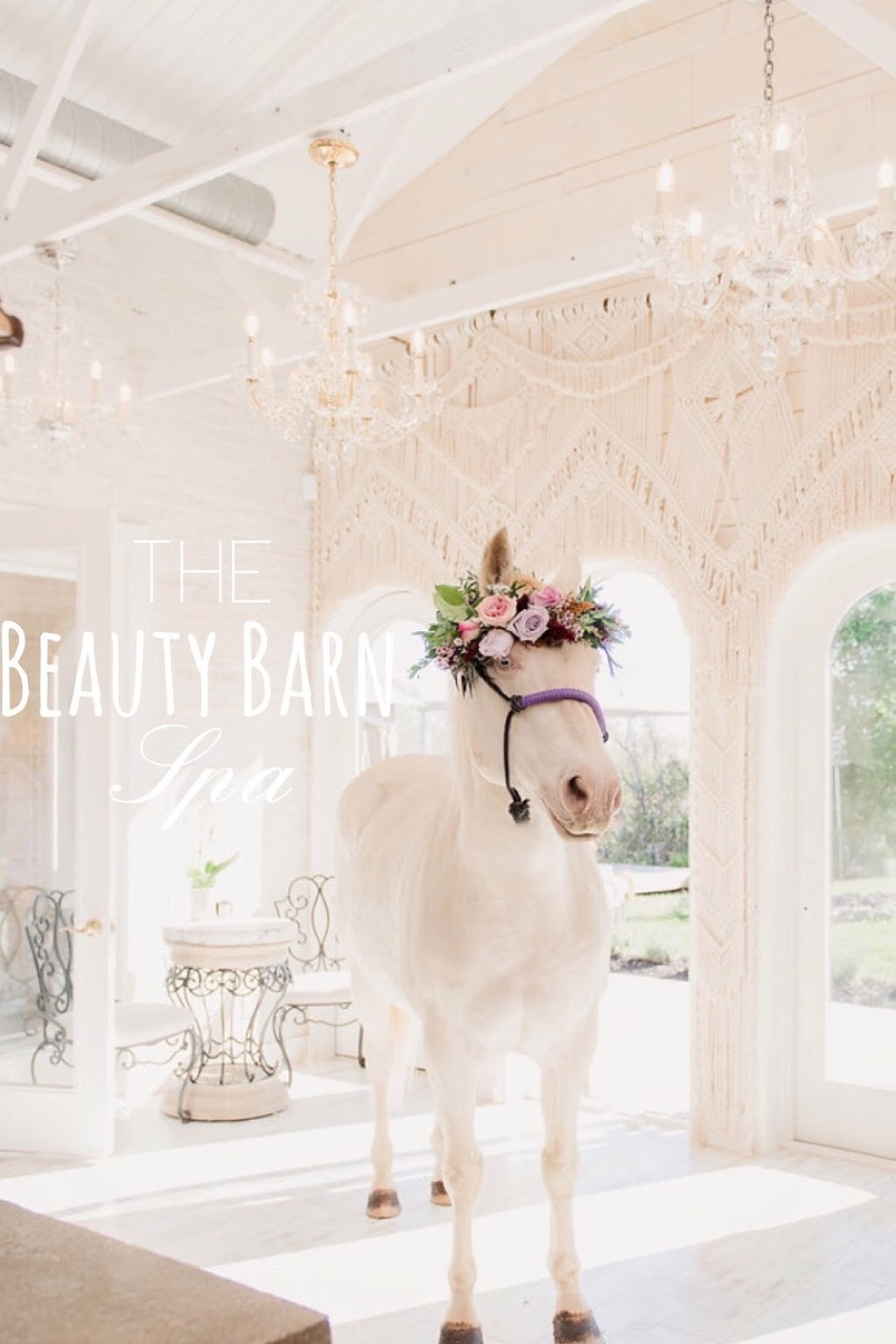 The Beauty Barn Spa | 205 Cleaver Rd, Brantford, ON N3R 0B8, Canada | Phone: (519) 449-3584