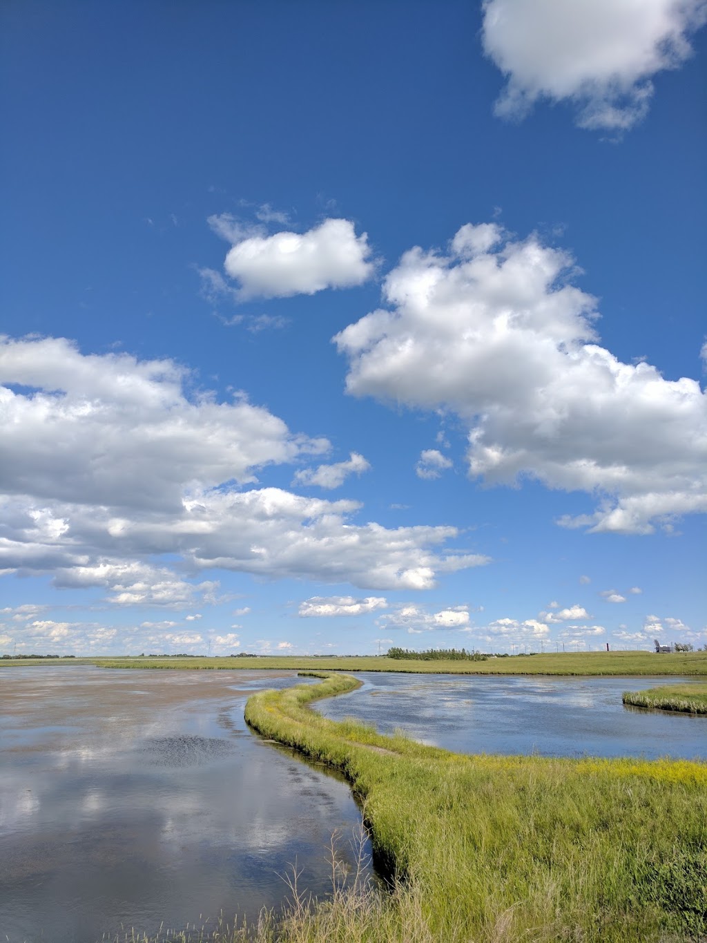 Ralph Klein Park & Environmental Education Centre | 12350 84 St SE, Calgary, AB T3S 0A4, Canada | Phone: (403) 268-2489