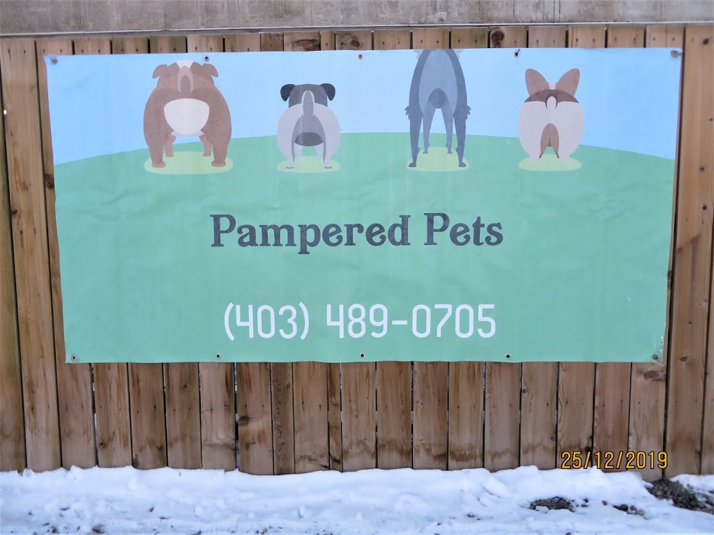 Pampered Pets | 4316 2 St E, Claresholm, AB T0L 0T0, Canada | Phone: (403) 489-0705