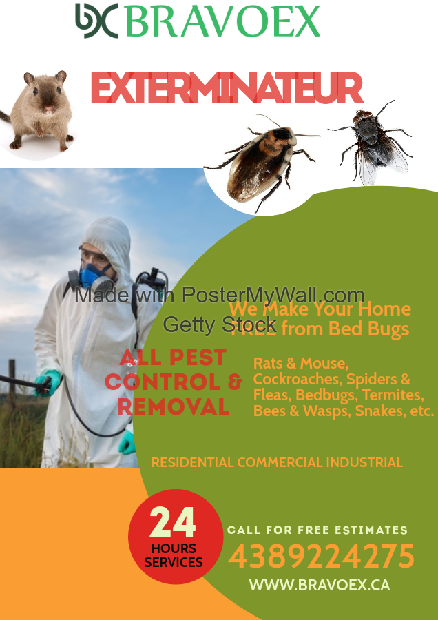 BRAVOEX Pest control | 2583 Carling Ave, Ottawa, ON K2B 7H7, Canada | Phone: (438) 922-4275