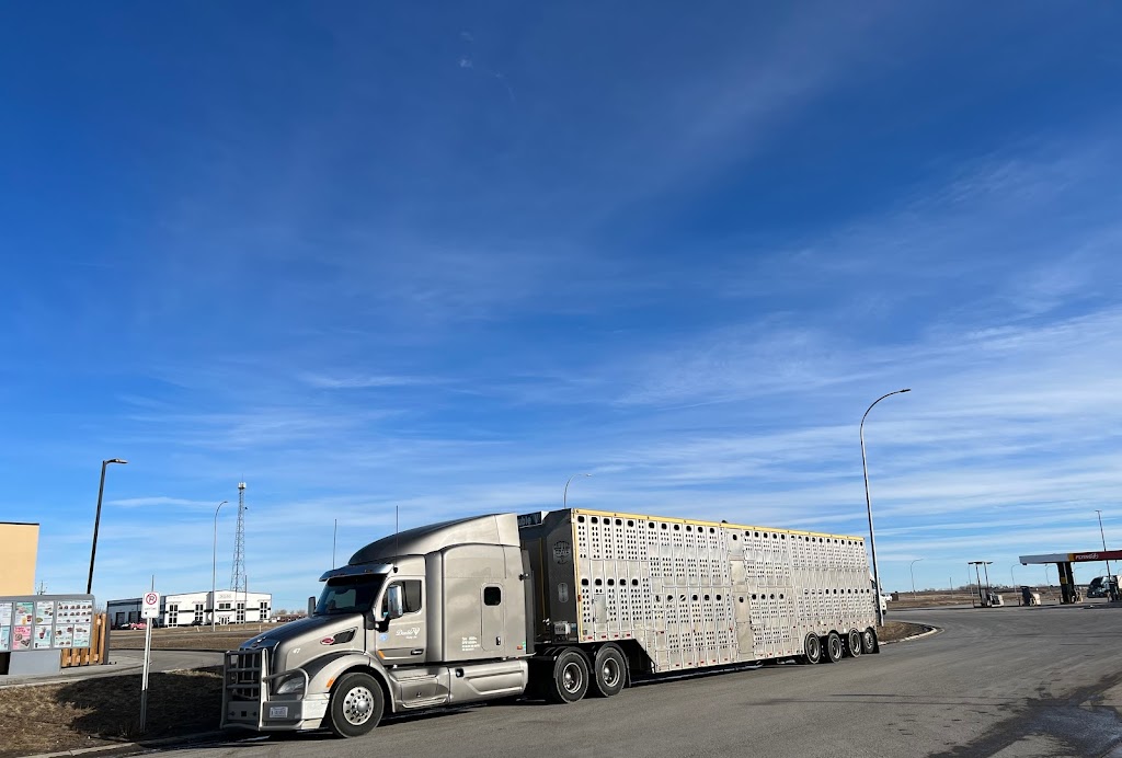 Double V Trucking | 201 Factory Dr, Picture Butte, AB T0K 1V0, Canada | Phone: (403) 732-5353