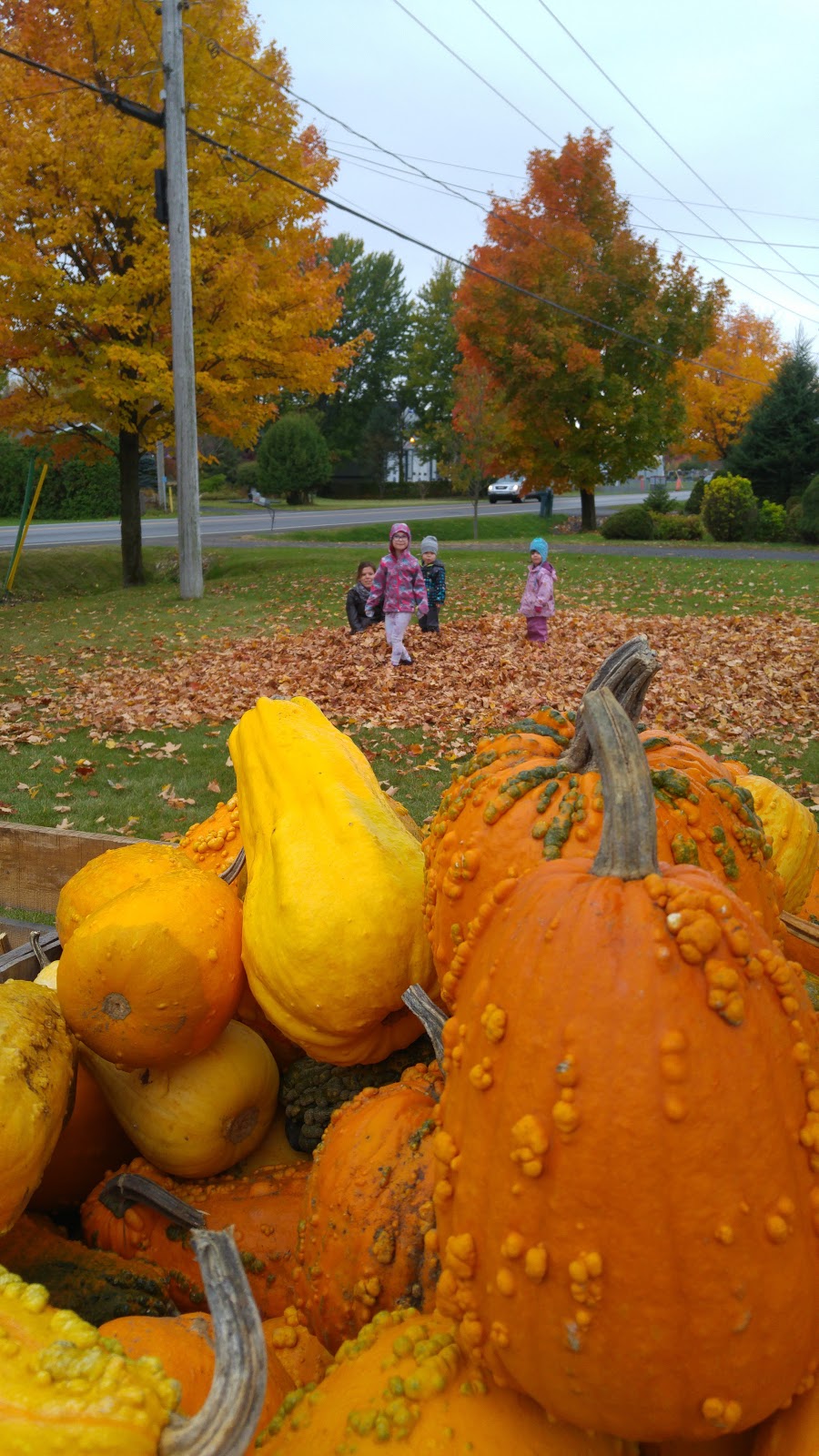 Ferme Richard Desmarais Enrg | 4450 Rue Principale, Lourdes-de-Joliette, QC J0K 1K0, Canada | Phone: (450) 753-3396