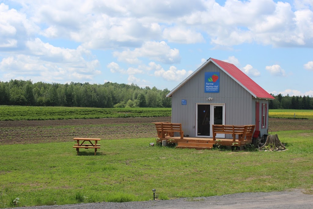 Ferme Matto-Val | 505 5e Rang, Val-Alain, QC G0S 3H0, Canada | Phone: (418) 744-3058