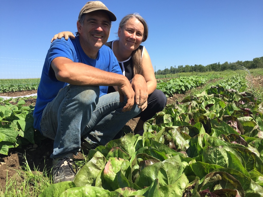 Ferme Cabru inc. | 974, 94e, Chem. de la 2e-Ligne, Le Haut-Richelieu, QC J0J 1W0, Canada | Phone: (514) 775-9908