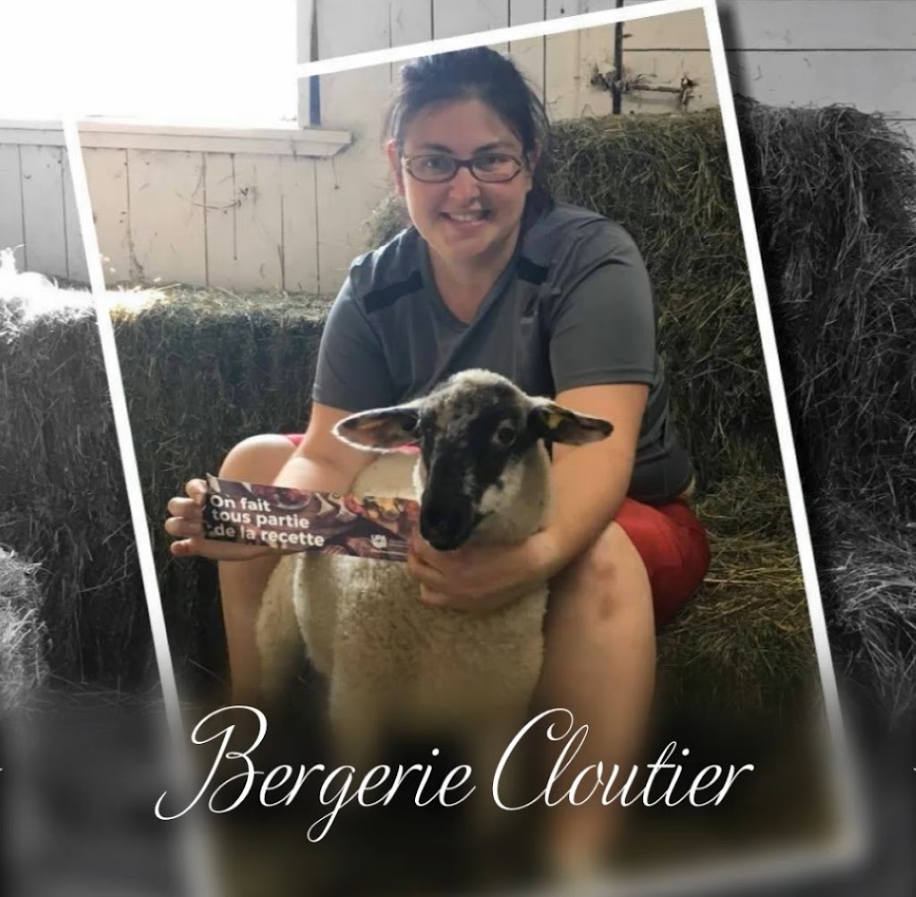 Bergerie Cloutier | 816 Rte Saint-Alfred, Sainte-Hénédine, QC G0S 2R0, Canada | Phone: (418) 209-1582