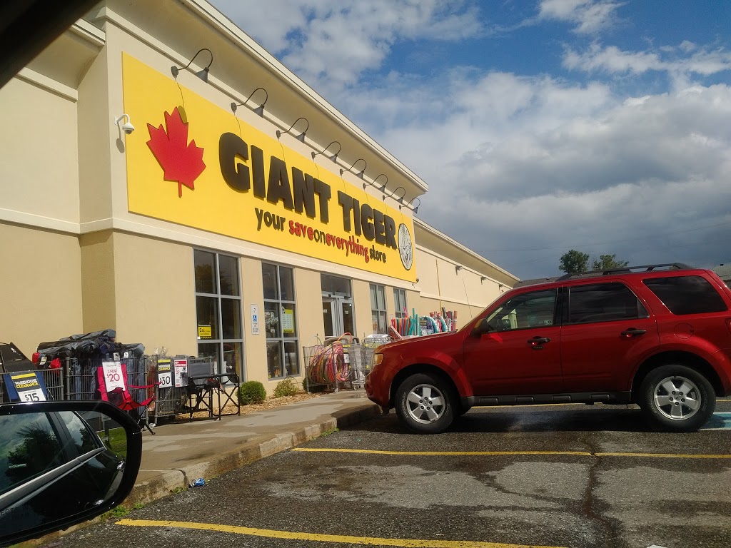 Giant Tiger | 1168 Maple Ave, Manotick, ON K4M 1A5, Canada | Phone: (613) 692-4766