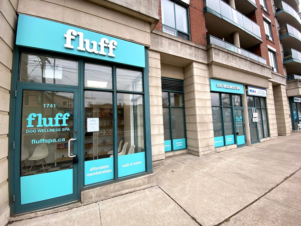 Fluff Dog Wellness Spa | 1741 Queen St E, Toronto, ON M4L 6S5, Canada | Phone: (647) 348-0090