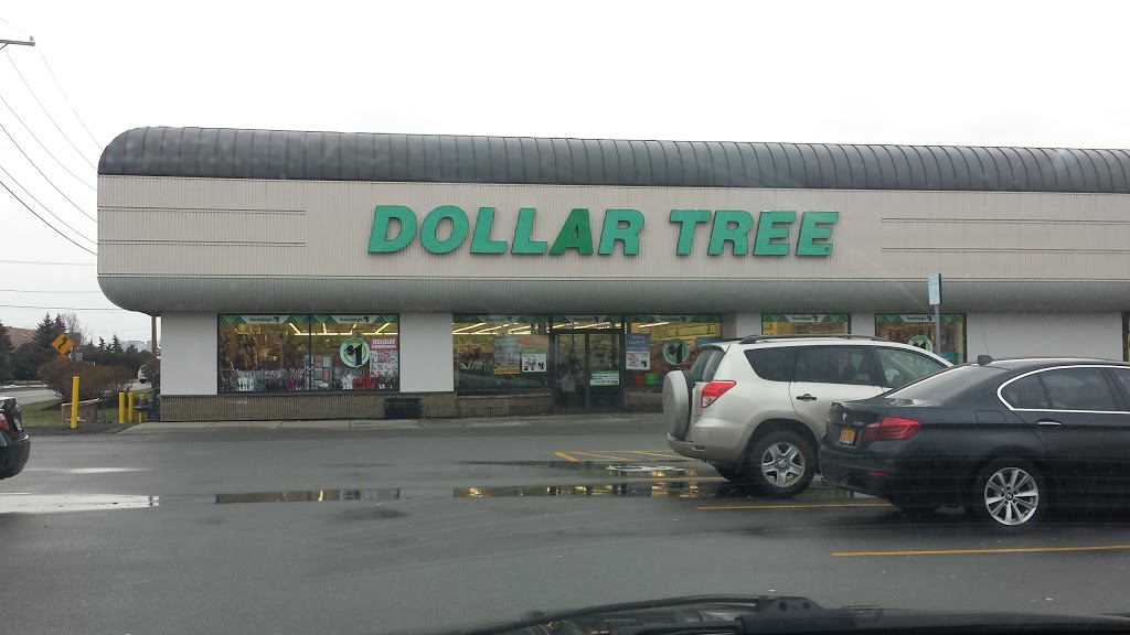 Dollar Tree | 1551 Niagara Falls Blvd, Buffalo, NY 14228, USA | Phone: (716) 515-4088