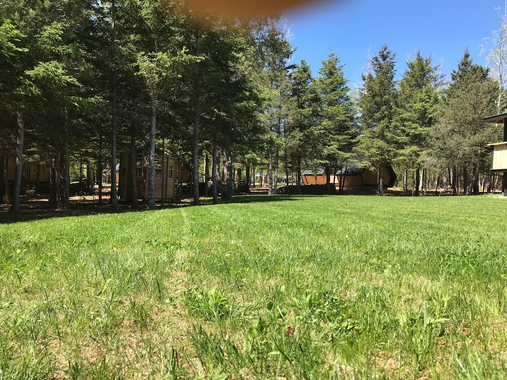 Wild Pines Cabins | 106 Selkirk Park Rd, Belfast, PE C0A 1A0, Canada | Phone: (902) 659-2266