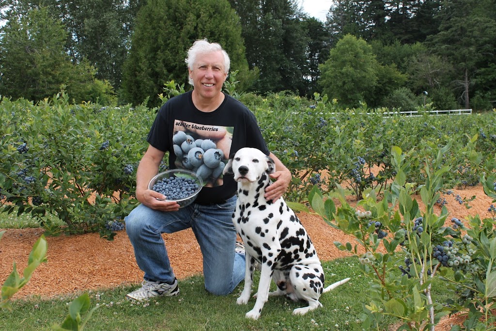 Steller Blueberries | 6337 Oldfield Rd, Saanichton, BC V8M 1X8, Canada | Phone: (778) 426-0280