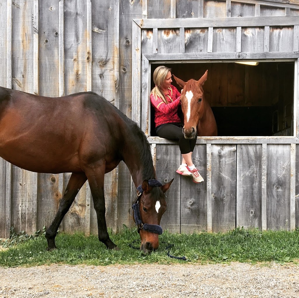 Kings Meadow Equestrian Centre | Middletown Rd, Hamilton, ON N0B 2J0, Canada | Phone: (905) 520-9040