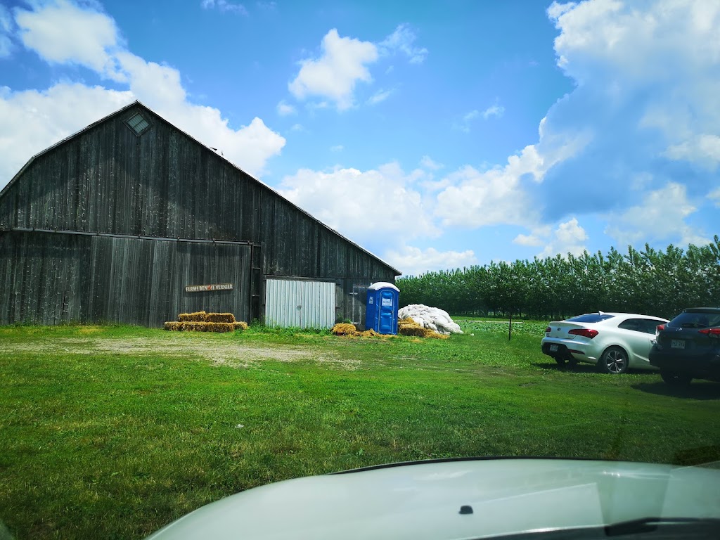 Ferme Benoit Vernier | 560 69e Avenue, Saint-Zotique, QC J0P 1Z0, Canada | Phone: (438) 700-6318