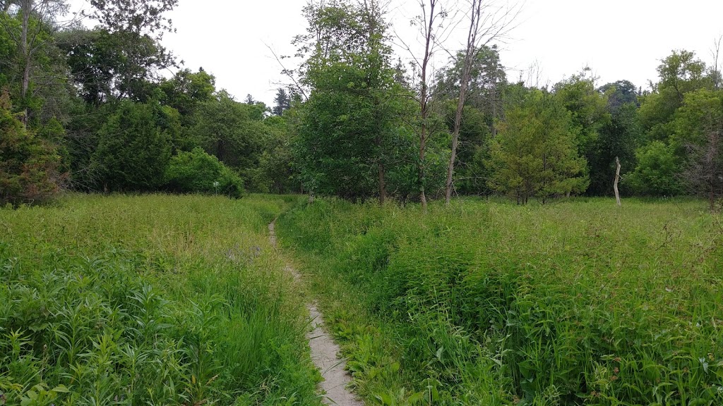 Rouge River Park | Unnamed Road, Scarborough, ON M1B, Canada, Canada