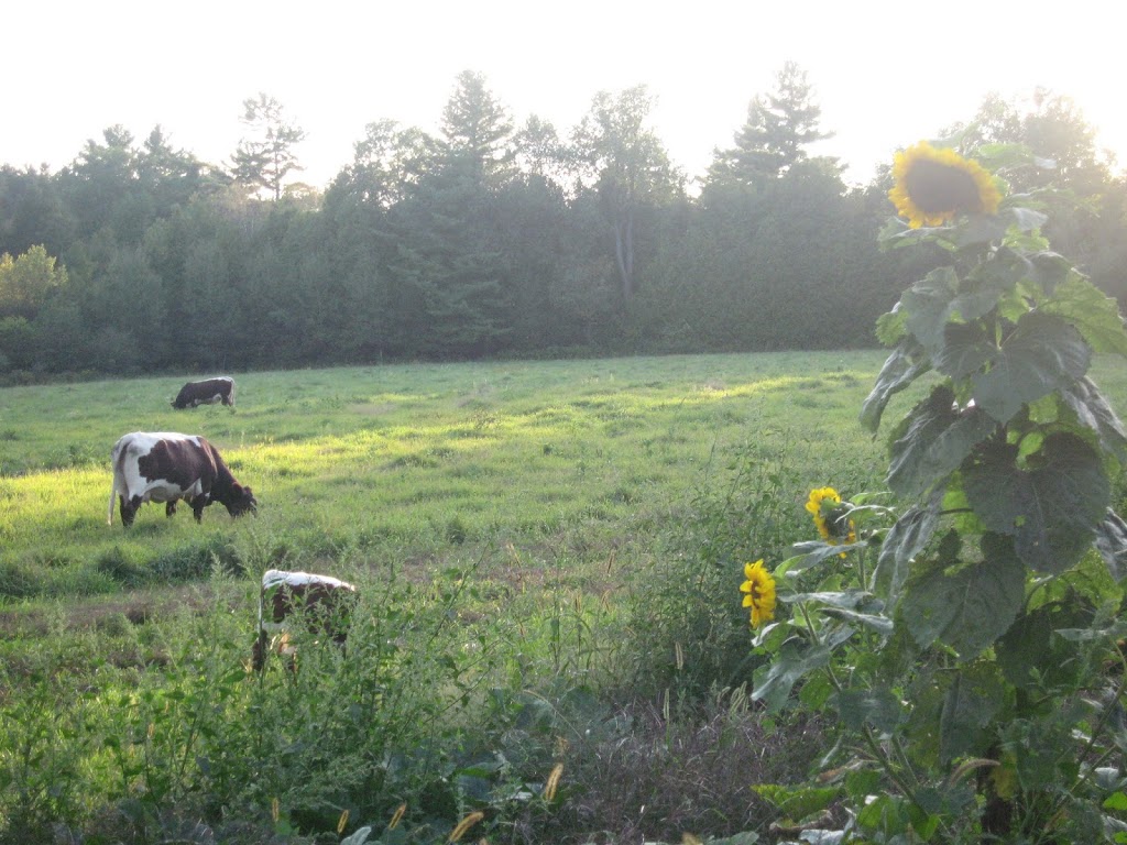 Diversity Farms | 2572 Vandorf Sideroad, Whitchurch-Stouffville, ON L4A 2J8, Canada | Phone: (905) 751-1323