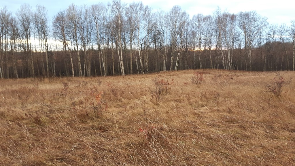 Bunchberry Meadows Conservation Area | 1B5, Range Rd 261, Spruce Grove, AB T7Y 1B5, Canada | Phone: (780) 757-2015