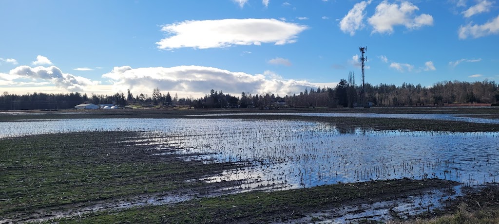 Bose Farms Corn Maze | 5948 156 St, Surrey, BC V3S 4N8, Canada | Phone: (778) 578-5450