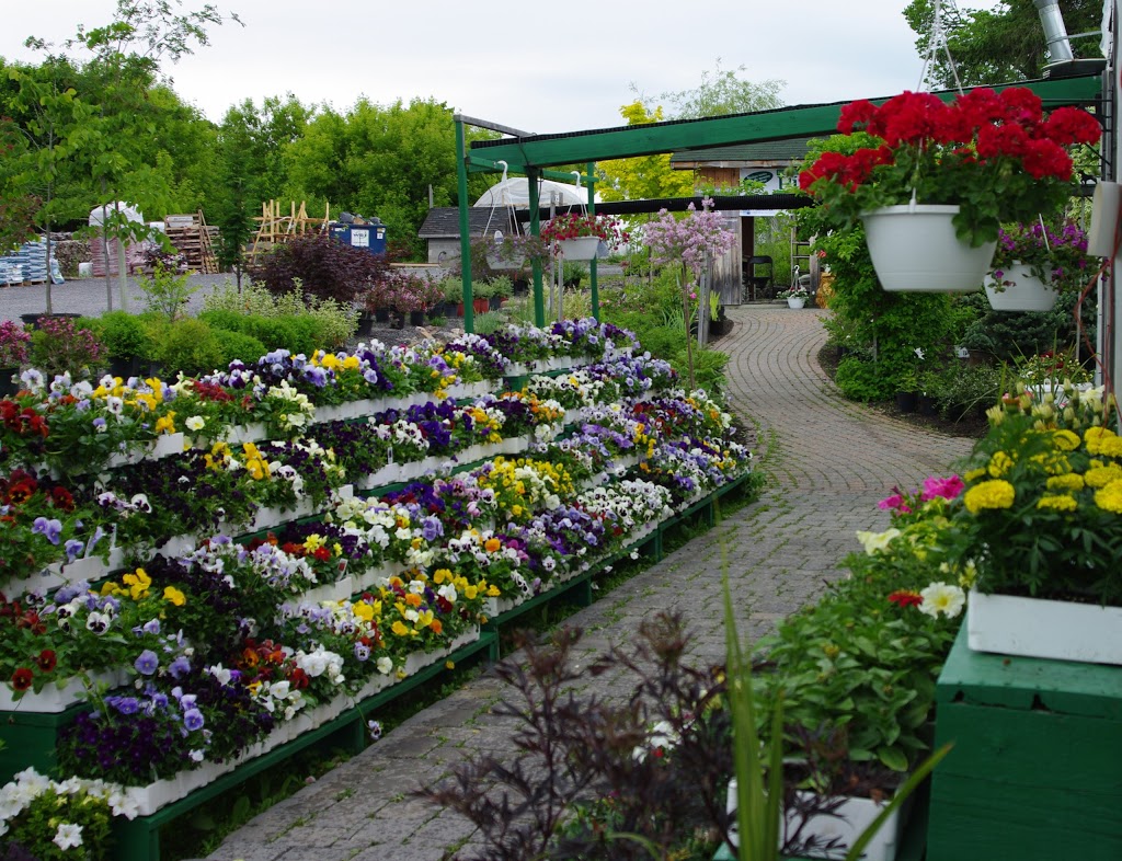 Blue Heron Landscaping | 202, ch Eardley, Gatineau, QC J9J 2Y6, Canada | Phone: (819) 684-3312