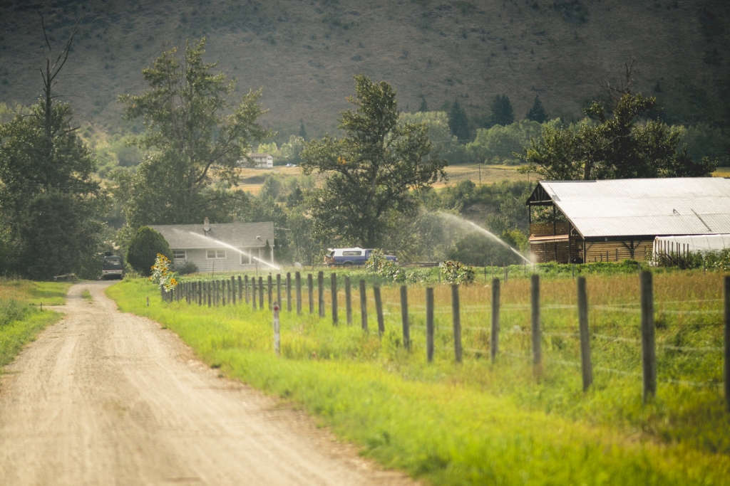 Roots Up! Vegetable Farm | 6133 VLA Rd, Chase, BC V0E 1M1, Canada | Phone: (778) 220-7578