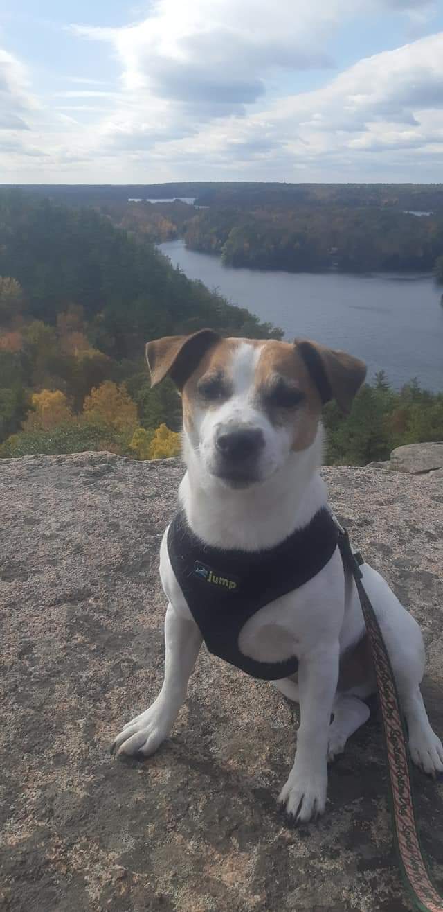 Rock Dunder Hiking Trail | Stanley Lash Ln, Lyndhurst, ON K0E 1N0, Canada