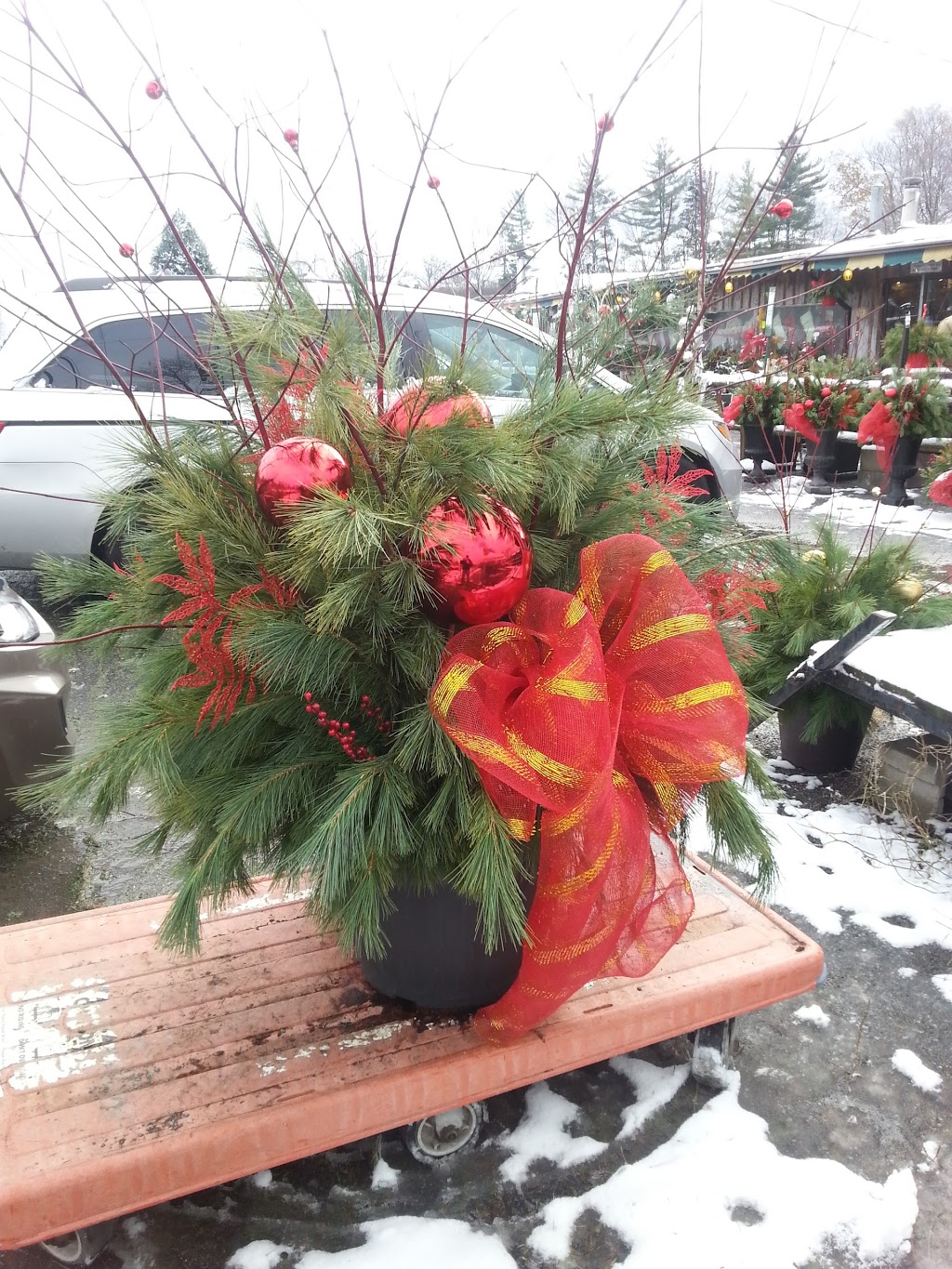 Rileys Garden Center | 2141 Bath Rd, Kingston, ON K7M 4Y3, Canada | Phone: (613) 389-0630