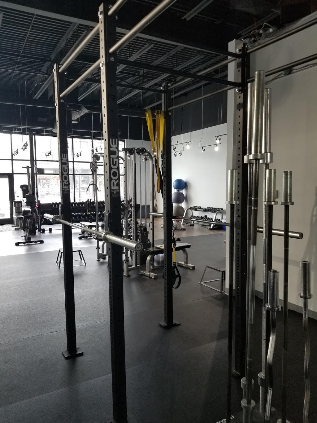 Vagus Fitness | 1121, 8650 112 Avenue Northwest, Calgary, AB T3R 0R5, Canada | Phone: (403) 288-2487