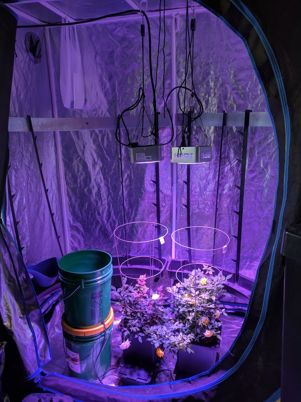 B & B Hydroponic Gardens | 3326 Limebank Rd #4, Ottawa, ON K1V 1H2, Canada | Phone: (613) 723-5047