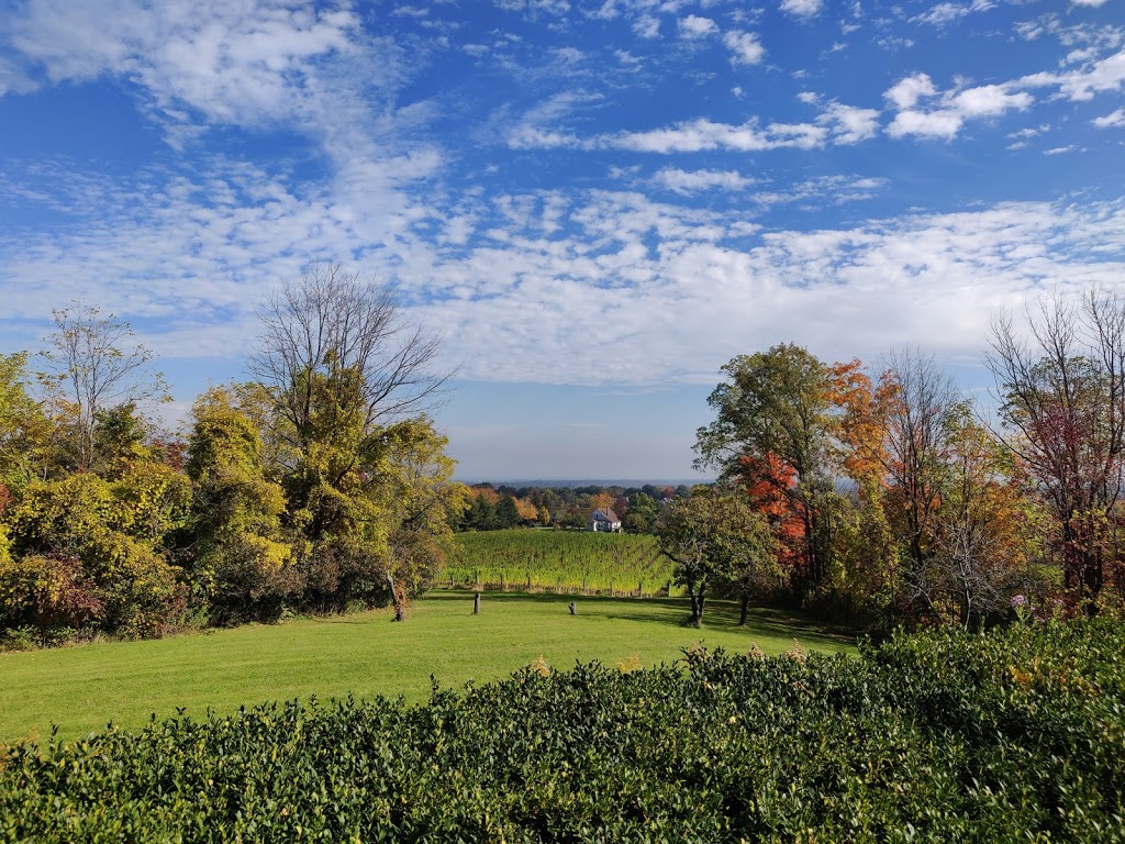 Organized Crime Winery | 4043 Mountainview Rd, Beamsville, ON L0R 1B2, Canada | Phone: (905) 563-9802