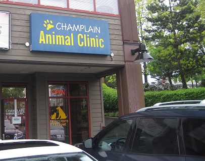 Champlain Animal Clinic | 3150 E 54th Ave #190, Vancouver, BC V5S 1Z1, Canada | Phone: (604) 439-0007