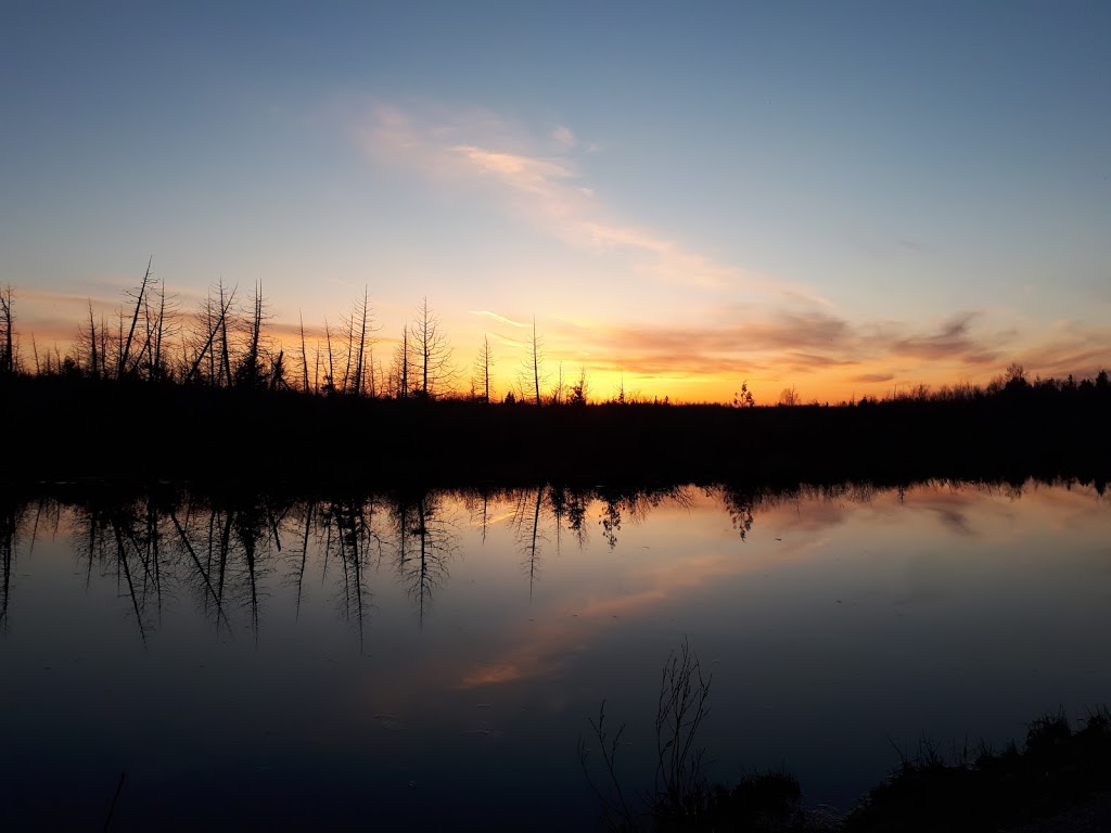 Osprey Wetlands | Badjeros, ON N0C 1A0, Canada