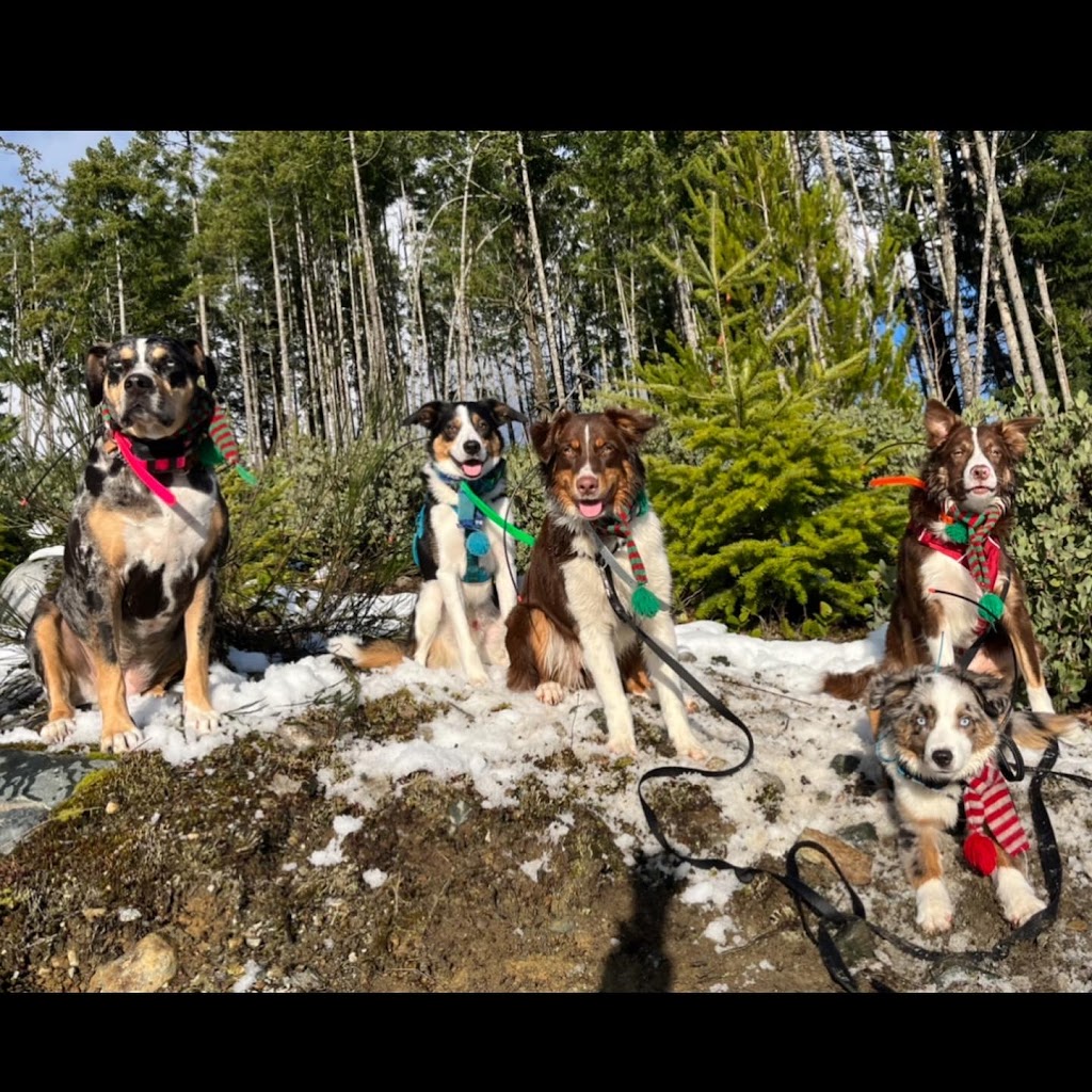 Coastal Mountain K9 | White Rapids Rd, Nanaimo, BC V9X 1E6, Canada | Phone: (250) 713-7238